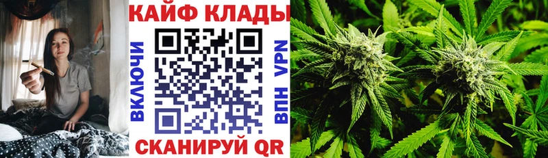 МЕФ Вязьма