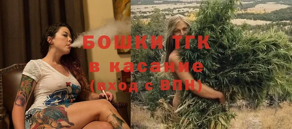 крисы Богородицк