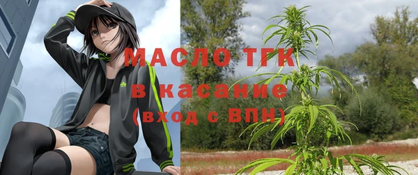 крисы Богородицк