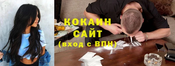 крисы Богородицк