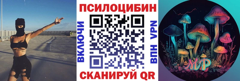 дарнет шоп  Вязьма  Галлюциногенные грибы Psilocybine cubensis 