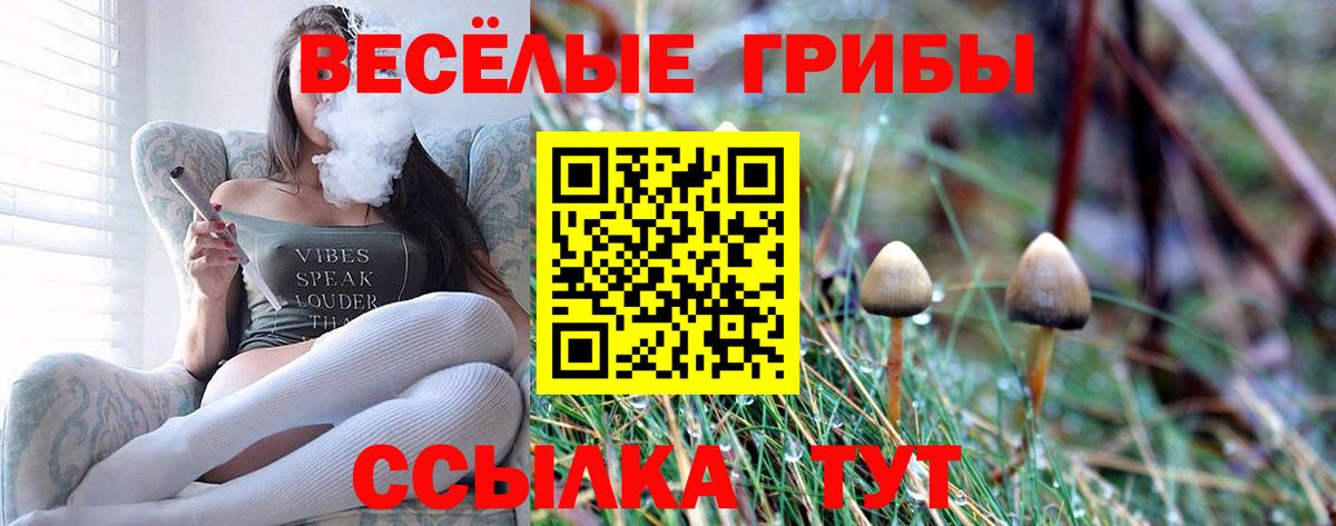 Вязьма  наркота  Вход с VPN  Галлюциногенные грибы прущие грибы 